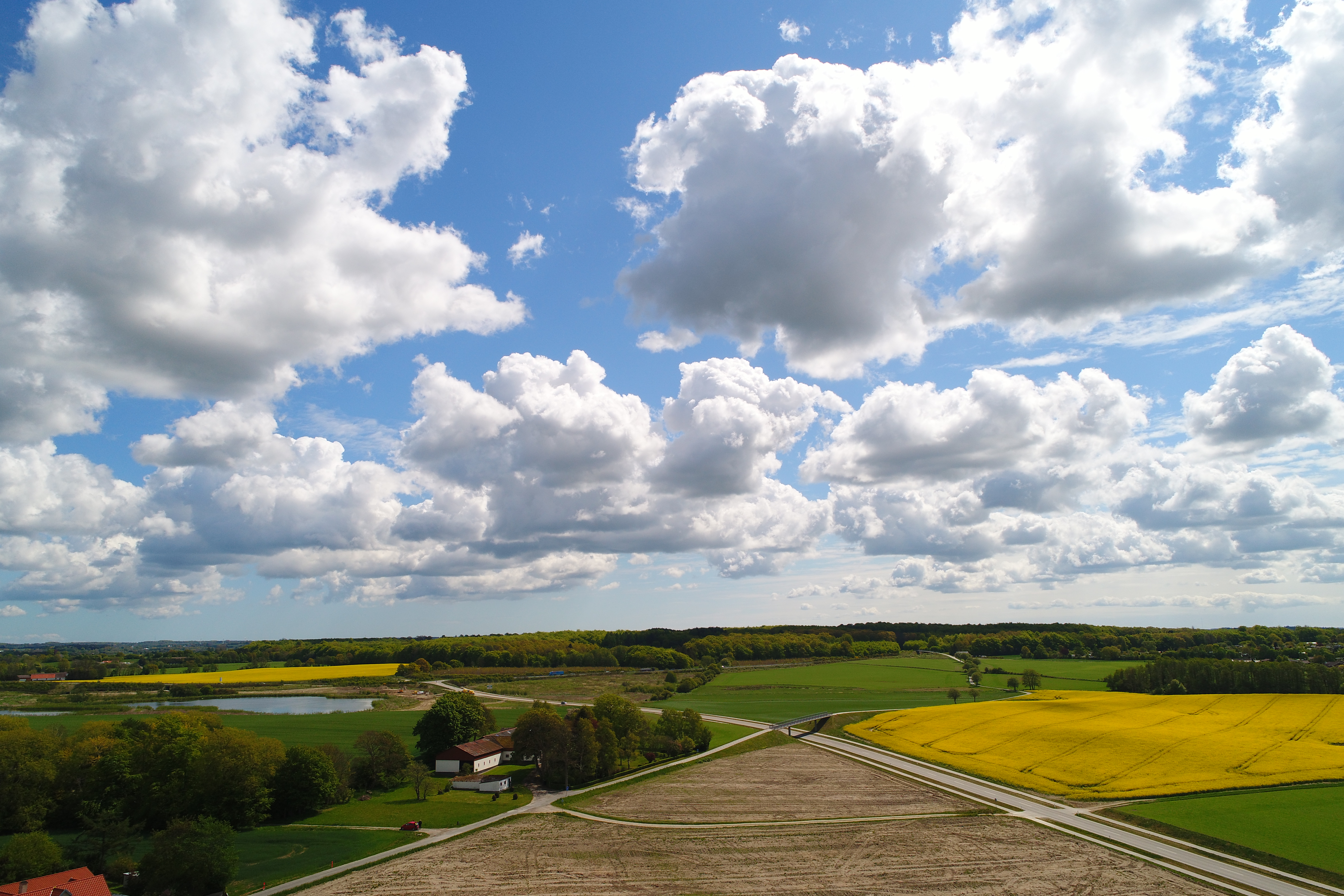 Udsigt over mark og rapsmark med blå himmel og hvide skyer i Næstved Kommune